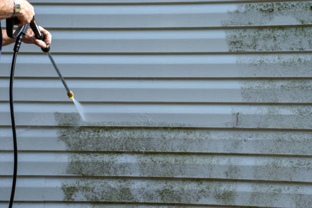 Best Aluminum Siding Installation  in Westwood, NJ