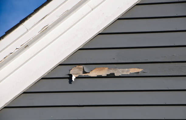 Affordable siding repair and maintenance services in Westwood, NJ