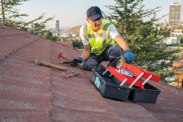 Best Siding Painting and Refinishing  in Westwood, NJ